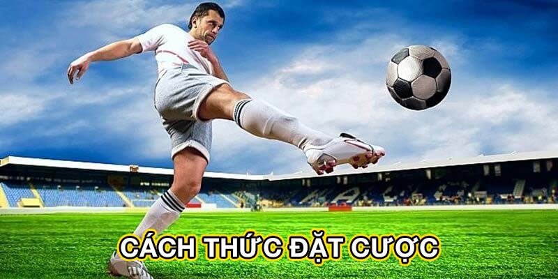 Cách thức đặt cược
