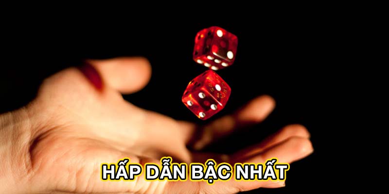 Hấp dẫn bậc nhất