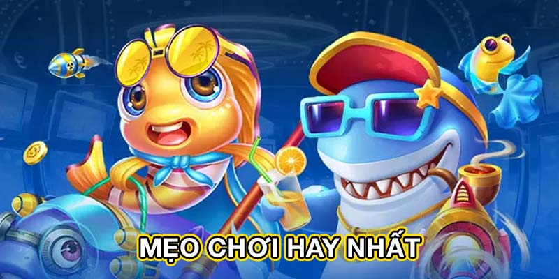 Mẹo chơi hay nhất