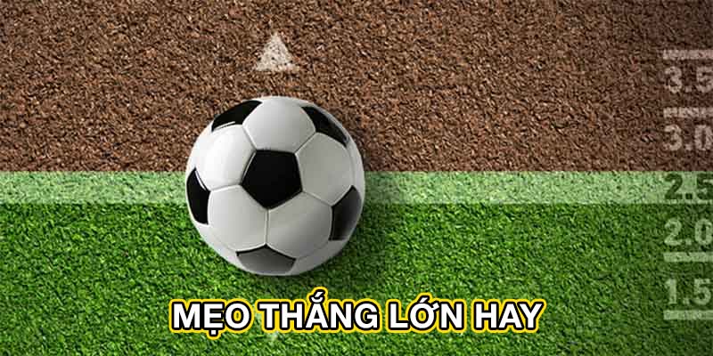 Mẹo thắng lớn hay