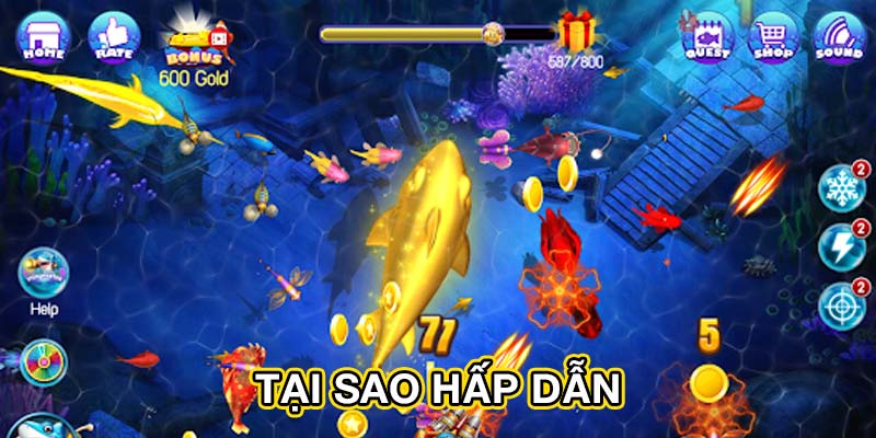 Tại sao hấp dẫn