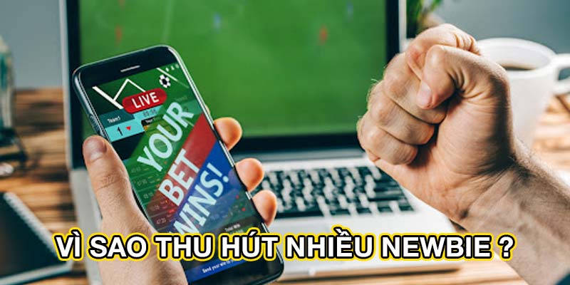 Vì sao thu hút nhiều newbie ?